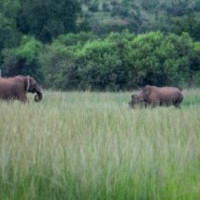 网站推广的工具