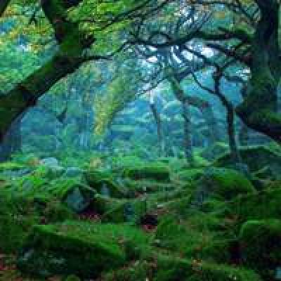 武汉网站推广优化公司