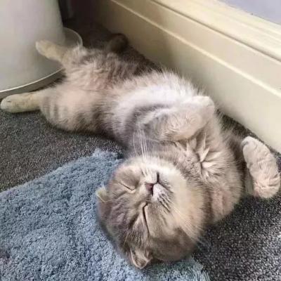 专业网站推广公司