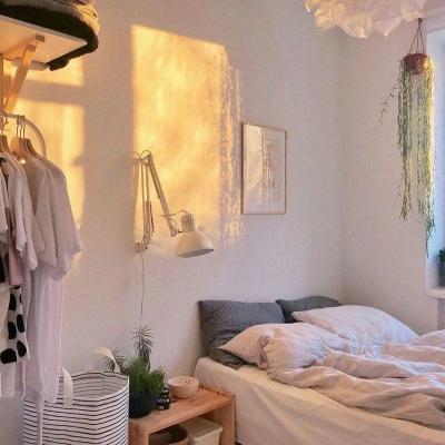 大三巴资料大全最全的软件