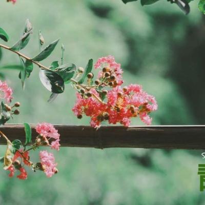 太原网站推广公司